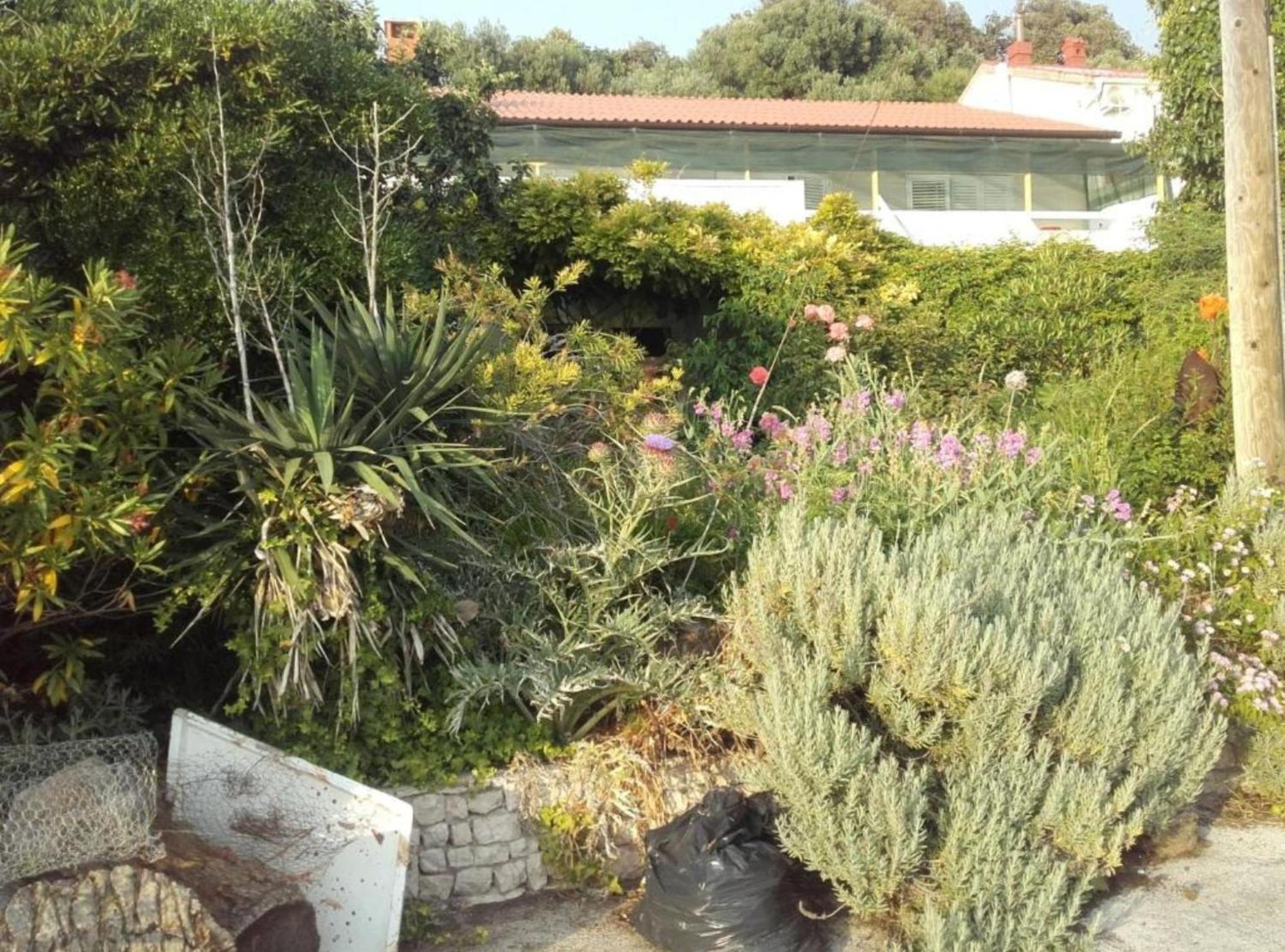 Guest House Green Corner 苏佩塔斯卡德拉加 外观 照片